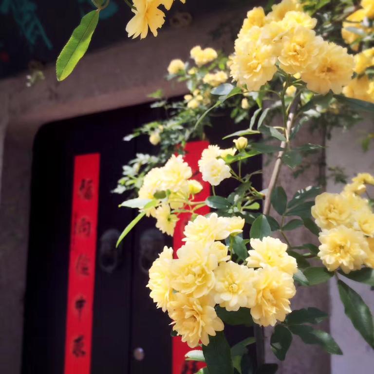 Zuo Wang Zhai Guesthouse Tô Châu Ngoại thất bức ảnh